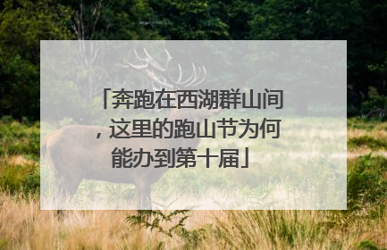 奔跑在西湖群山间，这里的跑山节为何能办到第十届