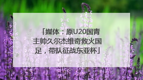媒体：原U20国青主帅久尔杰维奇救火国足，带队征战东亚杯