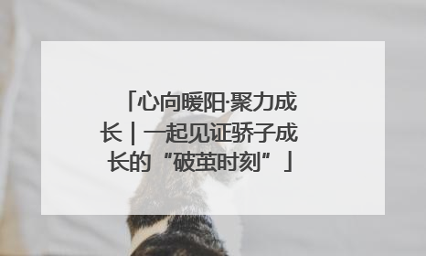 心向暖阳·聚力成长｜一起见证骄子成长的“破茧时刻”
