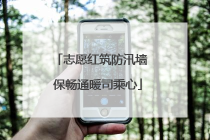 志愿红筑防汛墙 保畅通暖司乘心