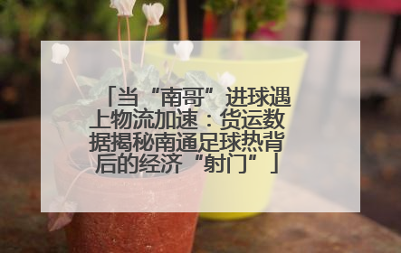 当“南哥”进球遇上物流加速：货运数据揭秘南通足球热背后的经济“射门”