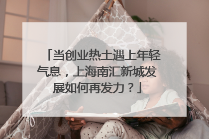 当创业热土遇上年轻气息，上海南汇新城发展如何再发力？