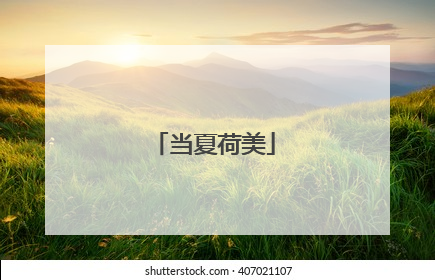 当夏荷美