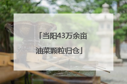 当阳43万余亩油菜颗粒归仓