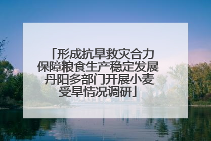 形成抗旱救灾合力 保障粮食生产稳定发展 丹阳多部门开展小麦受旱情况调研