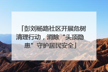 彭刘杨路社区开展危树清理行动，消除“头顶隐患”守护居民安全