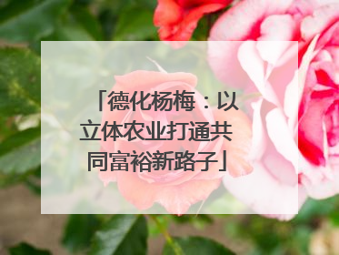 德化杨梅：以立体农业打通共同富裕新路子