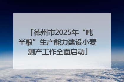 德州市2025年“吨半粮”生产能力建设小麦测产工作全面启动