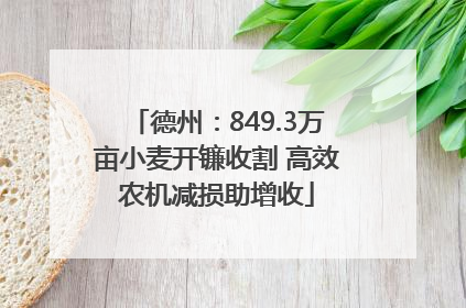 德州：849.3万亩小麦开镰收割 高效农机减损助增收