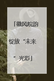 徽风皖韵绽放“未来”光彩