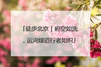 徒步北京｜碧空如洗，运河绿道行者如织
