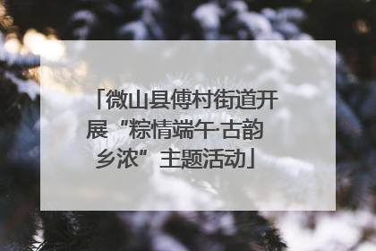 微山县傅村街道开展“粽情端午·古韵乡浓”主题活动