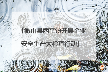 微山县西平镇开展企业安全生产大检查行动