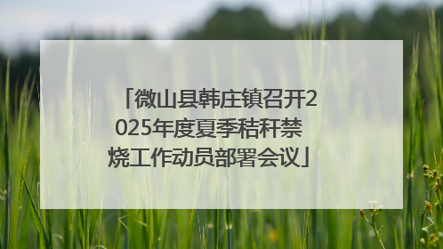 微山县韩庄镇召开2025年度夏季秸秆禁烧工作动员部署会议