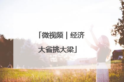 微视频｜经济大省挑大梁