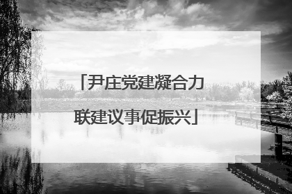 尹庄党建凝合力 联建议事促振兴