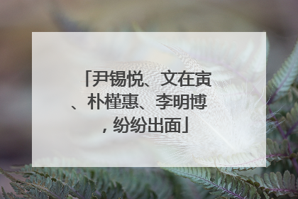 尹锡悦、文在寅、朴槿惠、李明博，纷纷出面