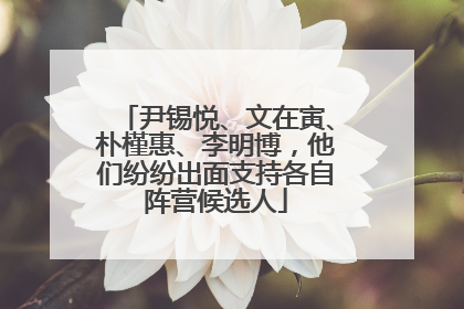 尹锡悦、文在寅、朴槿惠、李明博，他们纷纷出面支持各自阵营候选人