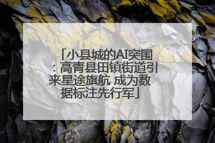 小县城的AI突围：高青县田镇街道引来星途旗航 成为数据标注先行军