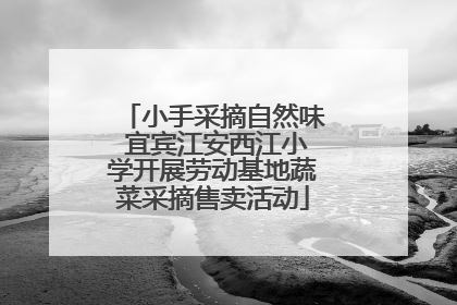 小手采摘自然味 宜宾江安西江小学开展劳动基地蔬菜采摘售卖活动