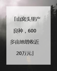 山窝头里产良种，600多亩地增收近20万元