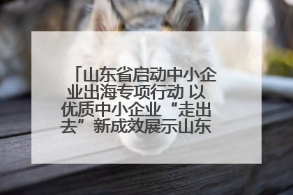 山东省启动中小企业出海专项行动 以优质中小企业“走出去”新成效展示山东产业发展新形象