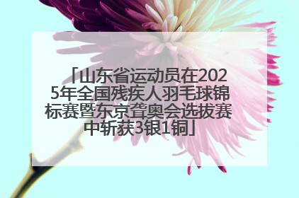 山东省运动员在2025年全国残疾人羽毛球锦标赛暨东京聋奥会选拔赛中斩获3银1铜