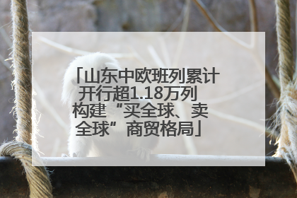 山东中欧班列累计开行超1.18万列 构建“买全球、卖全球”商贸格局