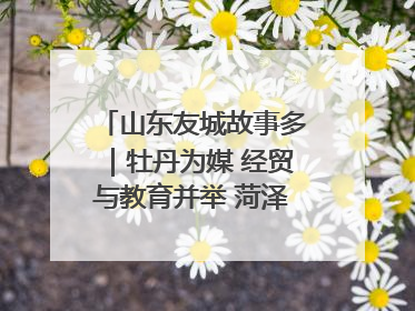 山东友城故事多｜牡丹为媒 经贸与教育并举 菏泽国际“朋友圈”扩容升级