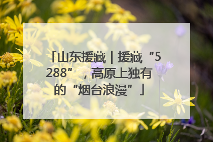 山东援藏｜援藏“5288”，高原上独有的“烟台浪漫”