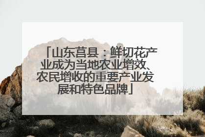 山东莒县：鲜切花产业成为当地农业增效、农民增收的重要产业发展和特色品牌