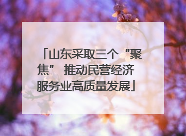 山东采取三个“聚焦” 推动民营经济服务业高质量发展