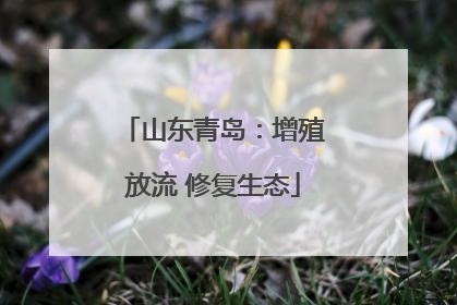 山东青岛：增殖放流 修复生态