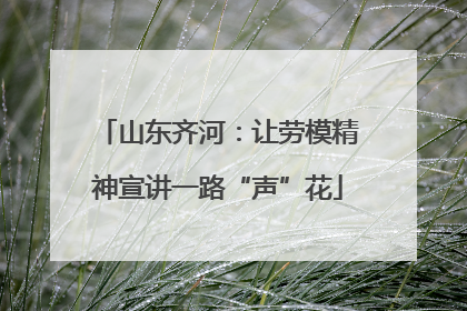 山东齐河：让劳模精神宣讲一路“声”花