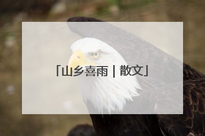 山乡喜雨｜散文