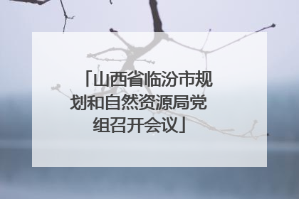 山西省临汾市规划和自然资源局党组召开会议