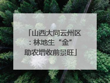 山西大同云州区：林地生“金” 助农增收前景旺