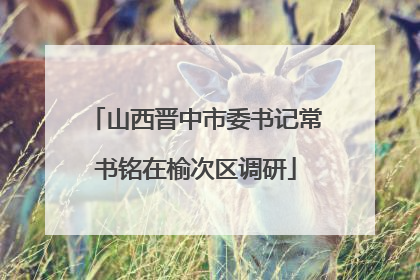 山西晋中市委书记常书铭在榆次区调研