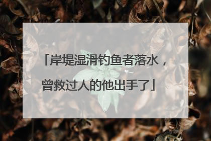 岸堤湿滑钓鱼者落水，曾救过人的他出手了