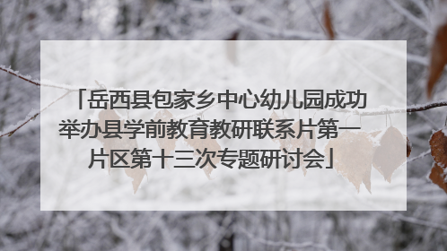 岳西县包家乡中心幼儿园成功举办县学前教育教研联系片第一片区第十三次专题研讨会