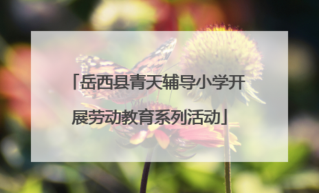 岳西县青天辅导小学开展劳动教育系列活动