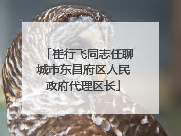 崔行飞同志任聊城市东昌府区人民政府代理区长