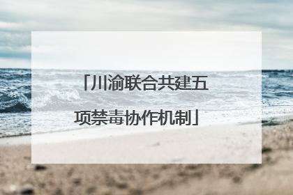 川渝联合共建五项禁毒协作机制