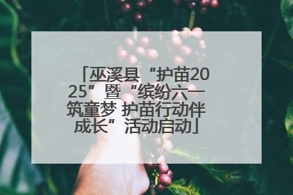 巫溪县“护苗2025”暨“缤纷六一筑童梦 护苗行动伴成长”活动启动