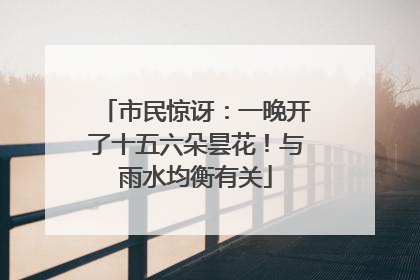 市民惊讶：一晚开了十五六朵昙花！与雨水均衡有关