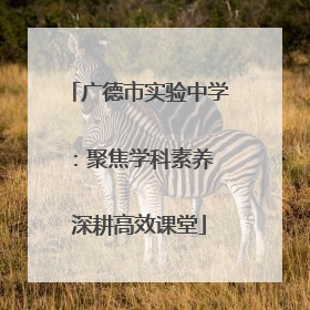 广德市实验中学：聚焦学科素养 深耕高效课堂