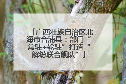 广西壮族自治区北海市合浦县：部门“常驻+轮驻”打造“解纷联合舰队”