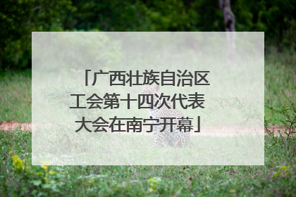 广西壮族自治区工会第十四次代表大会在南宁开幕