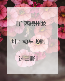 广西梧州龙圩：动车飞驰过田野