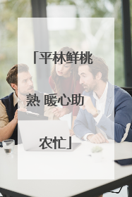 平林鲜桃熟 暖心助农忙